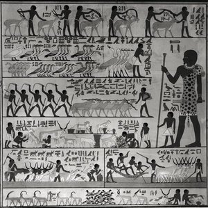 Kopie van een reliëf uit de mastaba van Ti in Sakkara (muurschildering) door French School